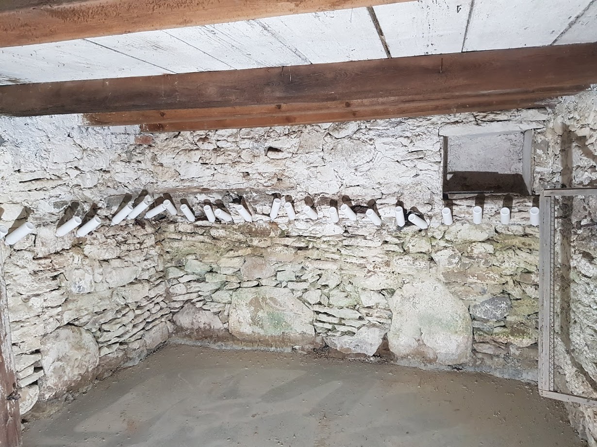 Swiss Renovation schimmel bautenschuty renovation abdichtung dĂ€mmung sanierung schweiz zĂŒrich winterthur