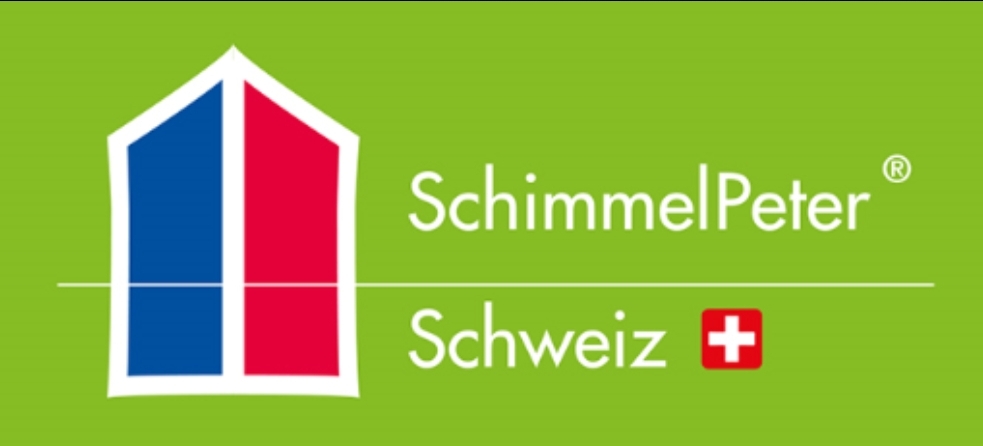 Swiss Renovation schimmel bautenschuty renovation abdichtung dämmung sanierung schweiz zürich winterthur