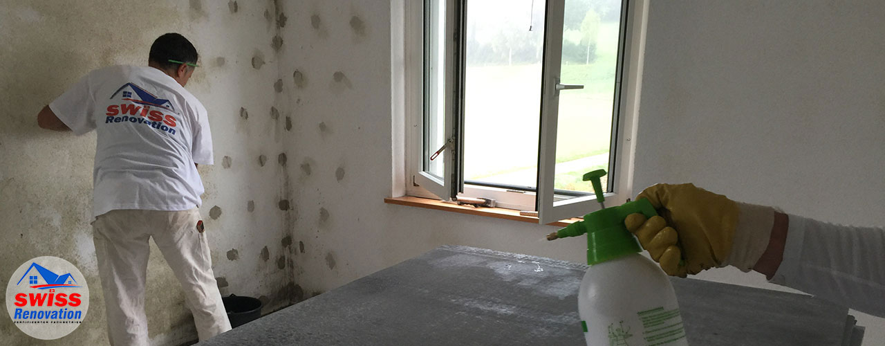 Swiss Renovation schimmel bautenschuty renovation abdichtung dämmung sanierung schweiz zürich winterthur