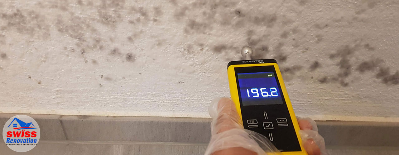 Swiss Renovation schimmel bautenschuty renovation abdichtung dämmung sanierung schweiz zürich winterthur